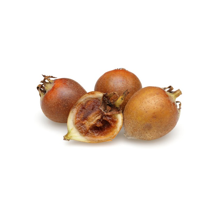 Medlar Fruit A Nutritious and Delicious Addition to Your Inventory
